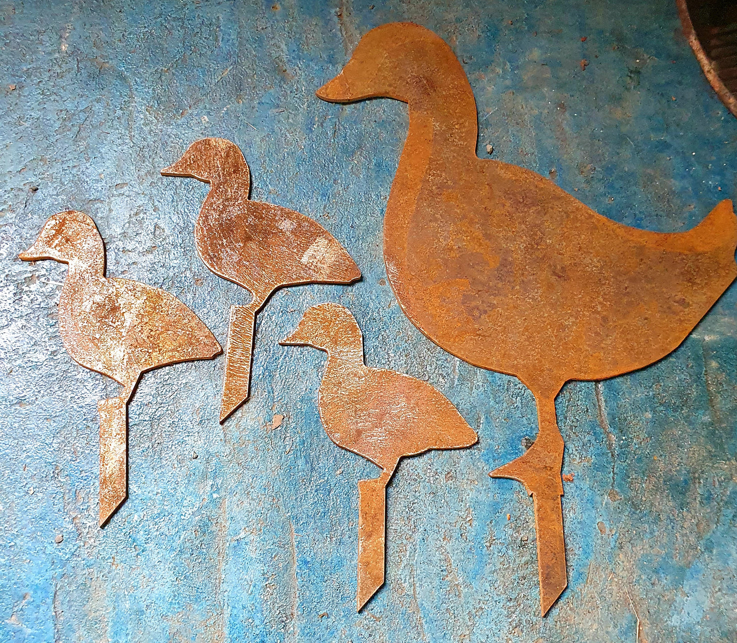 Ducks