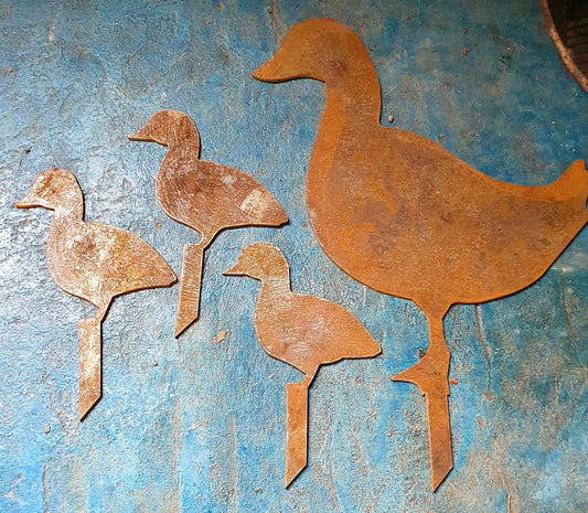 Ducks